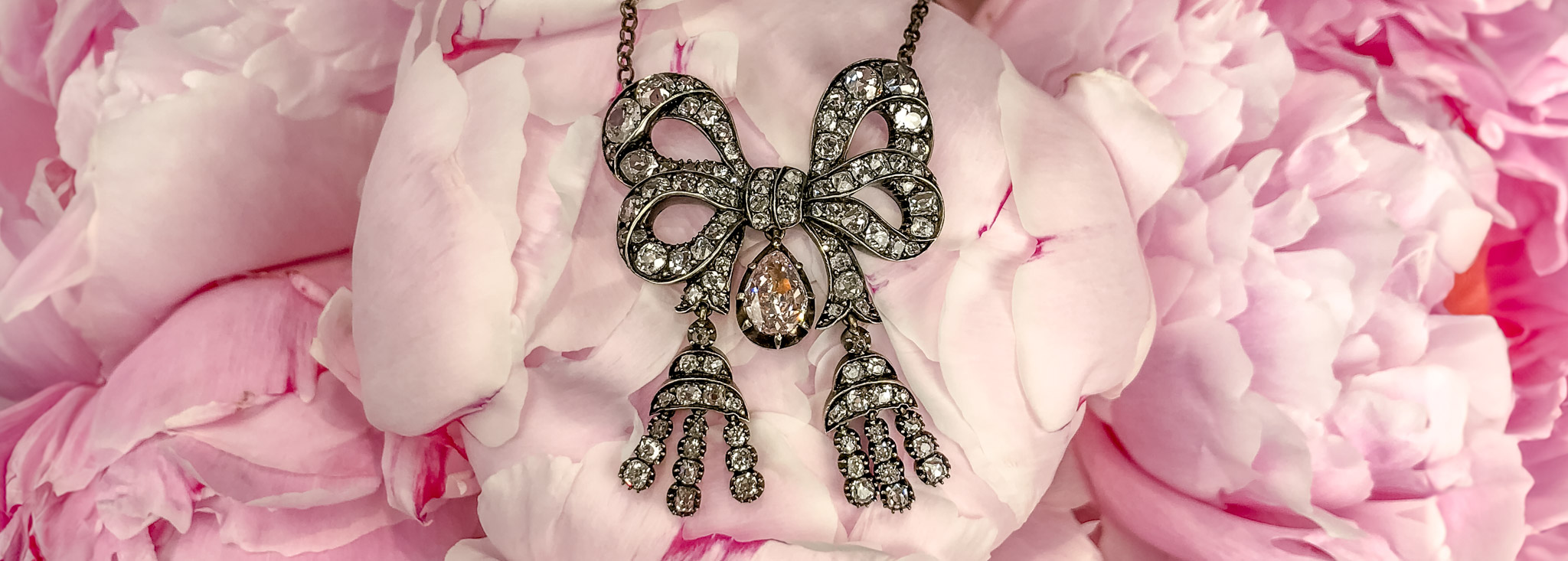 Bow Blog Banner August 24.